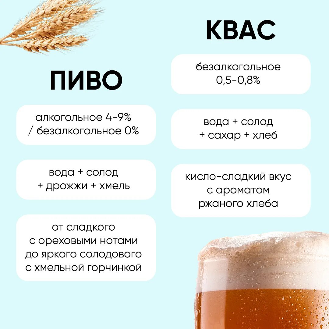 Отличие пивного напитка. Отличие пивного напитка