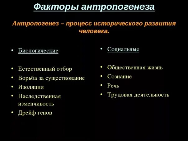 Социальные факторы эволюции сыграли решающую. Факторы антропогенеза кратко. Биологические факторы антропогенеза. Факторы антропогенеза биологические и социальные. Социальные факторы антропогенеза.