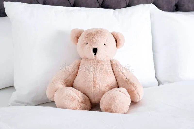 The teddy is on the bed. The teddy is on the bed