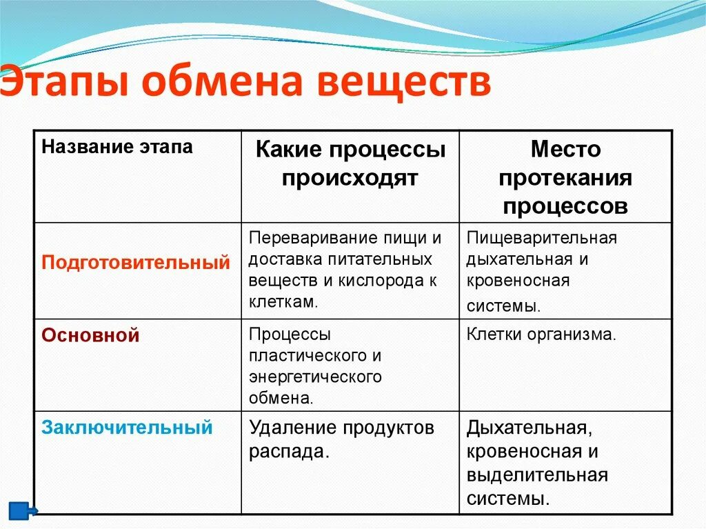 Укажите последовательность этапов обмена веществ и энергии:. Таблицу этапы обмена веществ в организме. Обмен веществ характеристика основные этапы. Назовите основные этапы обмена веществ.. Характерные изменения вещества