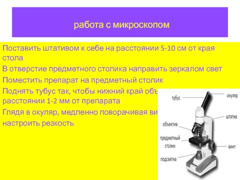 Для чего зеркало в микроскопе. Отверстие предметного столика микроскопа это. Порядок работы с микроскопом. Предметный столик микроскопа. Последовательность подготовки микроскопа к работе.