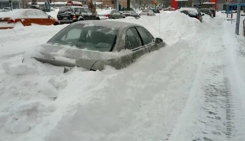 Морозы в клину