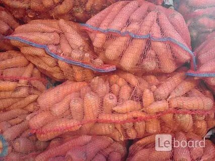 Морковь оптом волгоградская