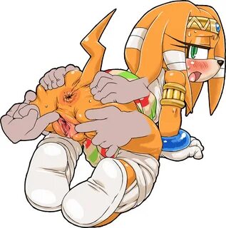 Tikal the Echidna.