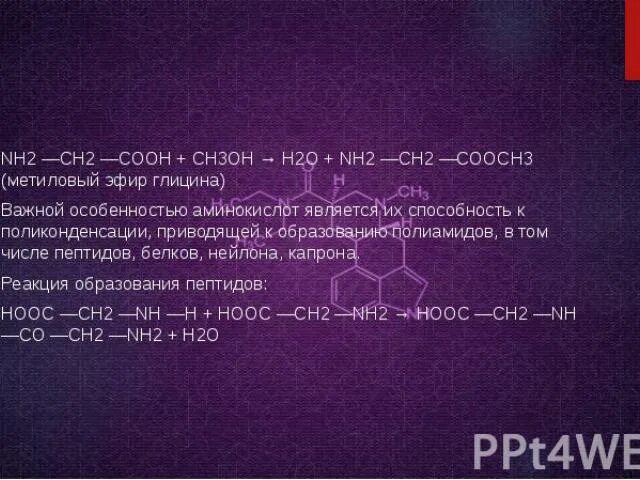 Ch ch ch cooh nh. Ch3 ch2 Ch nh2 ch2 Cooh название. Ch2 Ch nh2 Cooh название. Ch3 ch2 Ch nh2 Cooh аминокислота. Nh2ch2ch2cooh название аминокислоты.