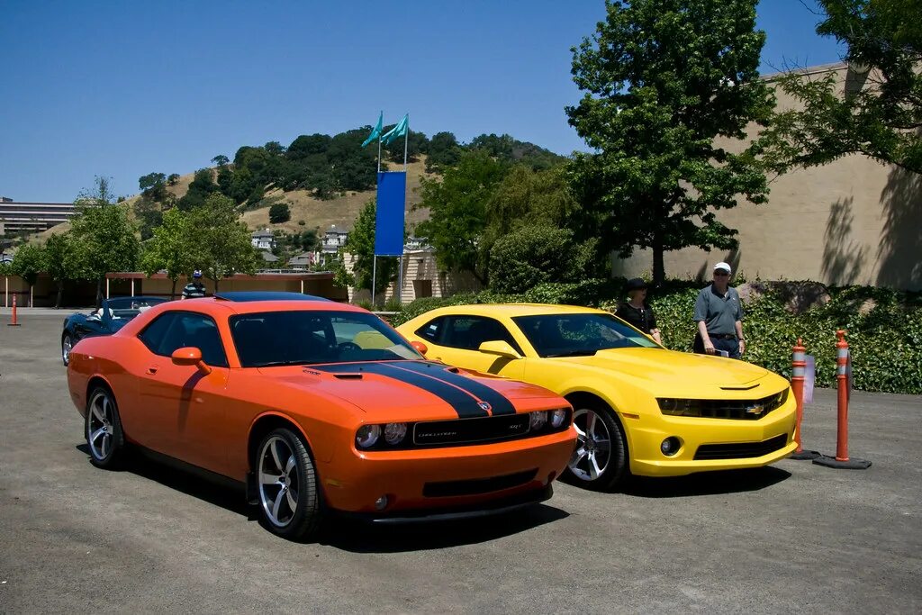 Тачки похожие. Шевроле Камаро Челленджер. Dodge Challenger и Chevrolet Camaro. Шевроле Додж Челленджер. Шевроле Камаро и Додж Челленджер.