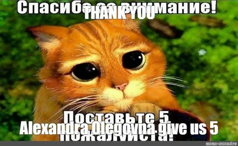 Как мило спасибо. Спасибо за внимание поставьте пять. конец презентации мем. милые картинки для конца презентации. картинка поставьте 5 пожалуйста.