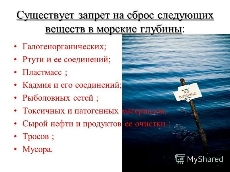 глубина существования. марианский жёлоб глубоководный желоб. условия существования жизни на земле. давление на дне моря. поле существования жизни.