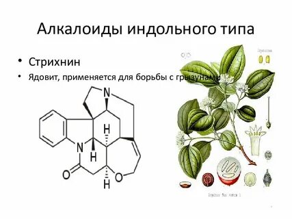 Стрихнин