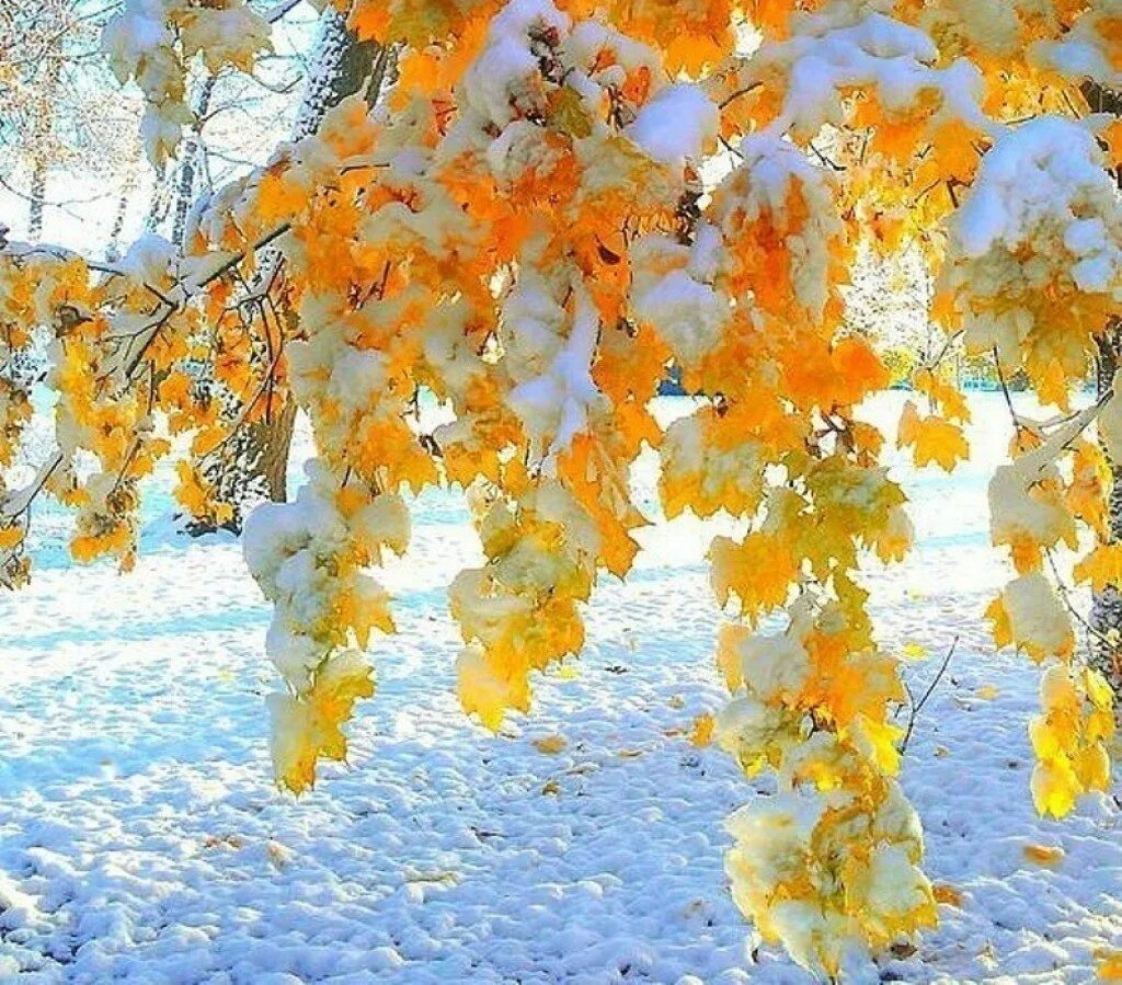 Какой последний день в ноябре