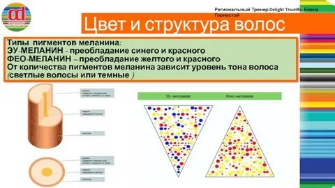 Типы пигментов