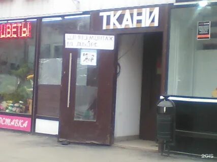 7 я кантемировых
