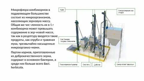 Технология комбикормов