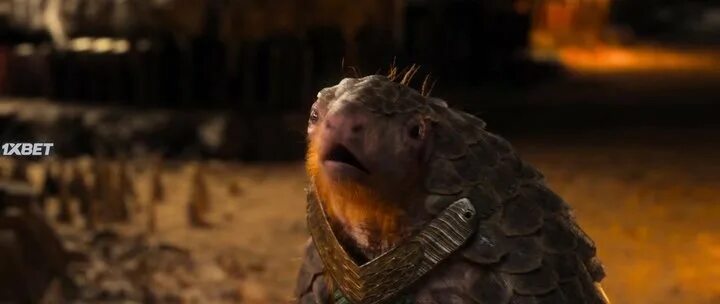 хроники панголинов фильм 2023. фильм хроники панголинов верити. хроники панголинов. хроники панголинов. фильм хроники панголинов верити.