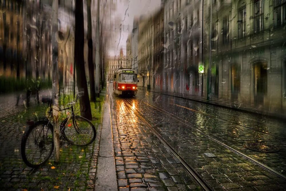 116 ppg rainy afternoon. Rainy afternoon. Как называется шум дождя. Ледяной дождь живые обои. Rainy afternoon.