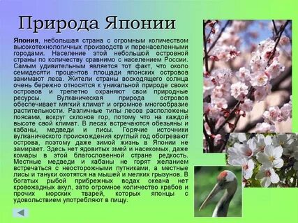 Краткий рассказ про японию