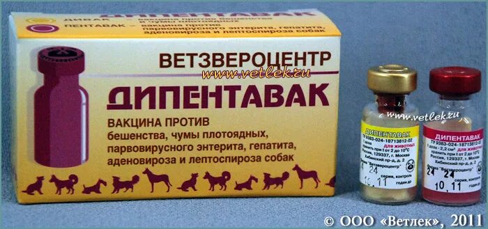 Вакцины против бешенства для собак. Вакцины для животных. Вакцины для собак. Вакцина против бешенства. Препарат от бешенства животных.