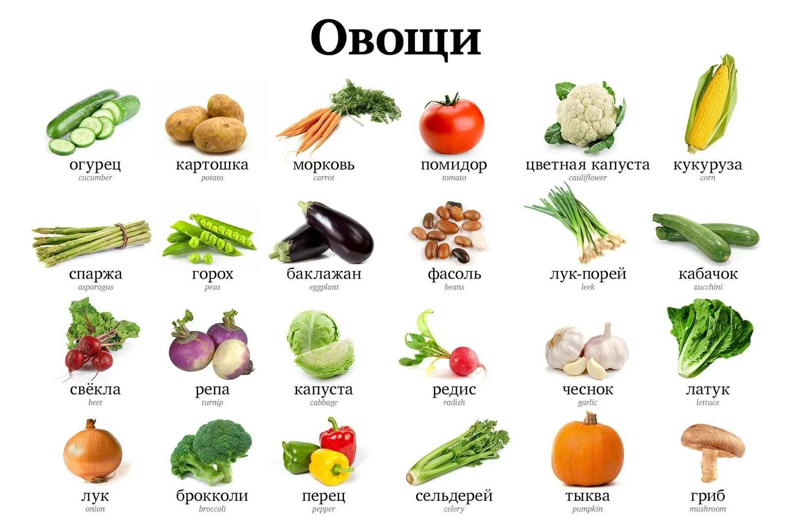 Названия фруктов на русском языке. Овощи список. Овощи и фрукты названия. Овощи называние. Овощи список названий.