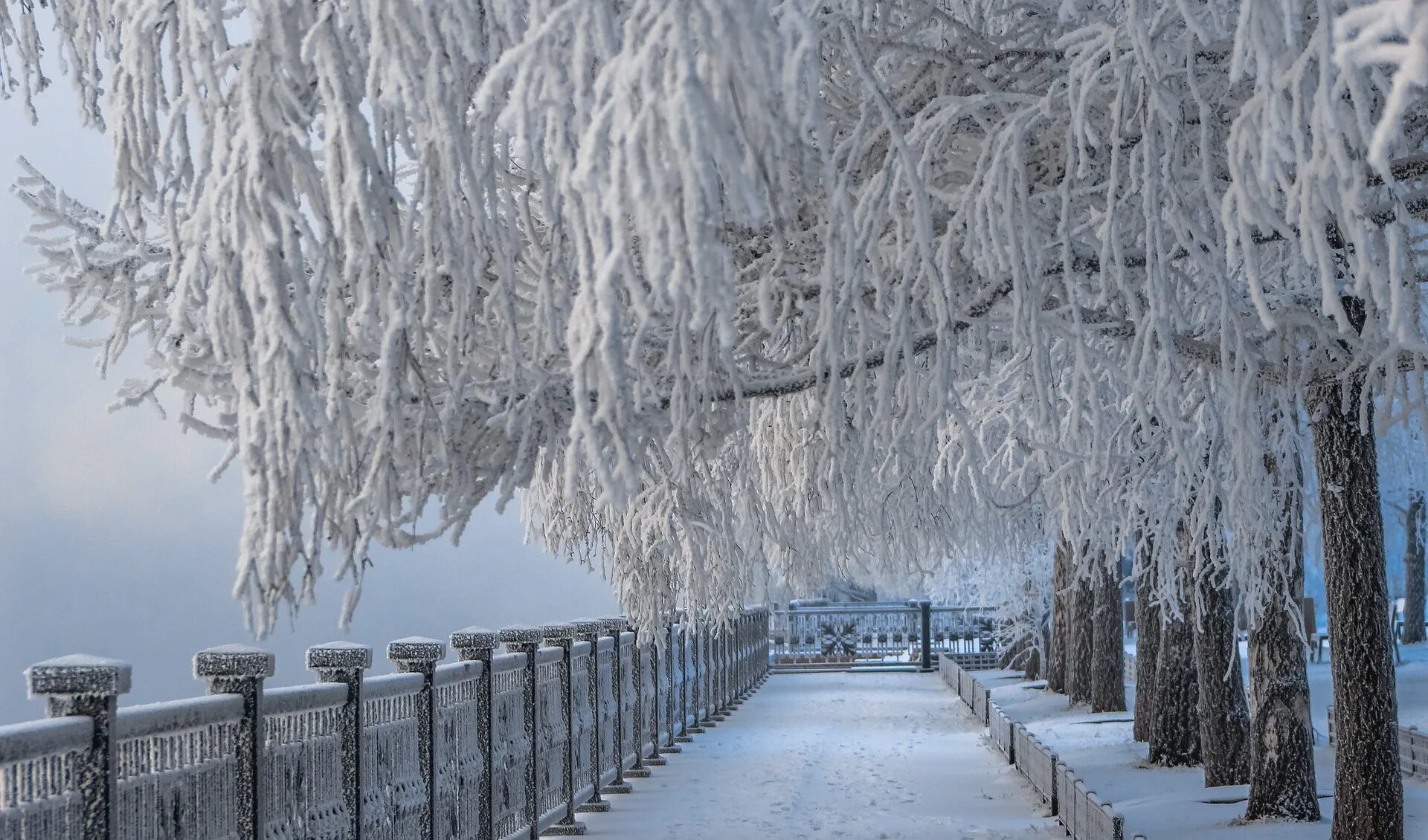 Красноярск сильные морозы. Красноярск зимой. Красивая зима в городе. Зимний Красноярск фото. Красивые места в Красноярске зимой.