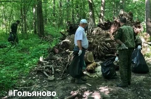 Лес ход
