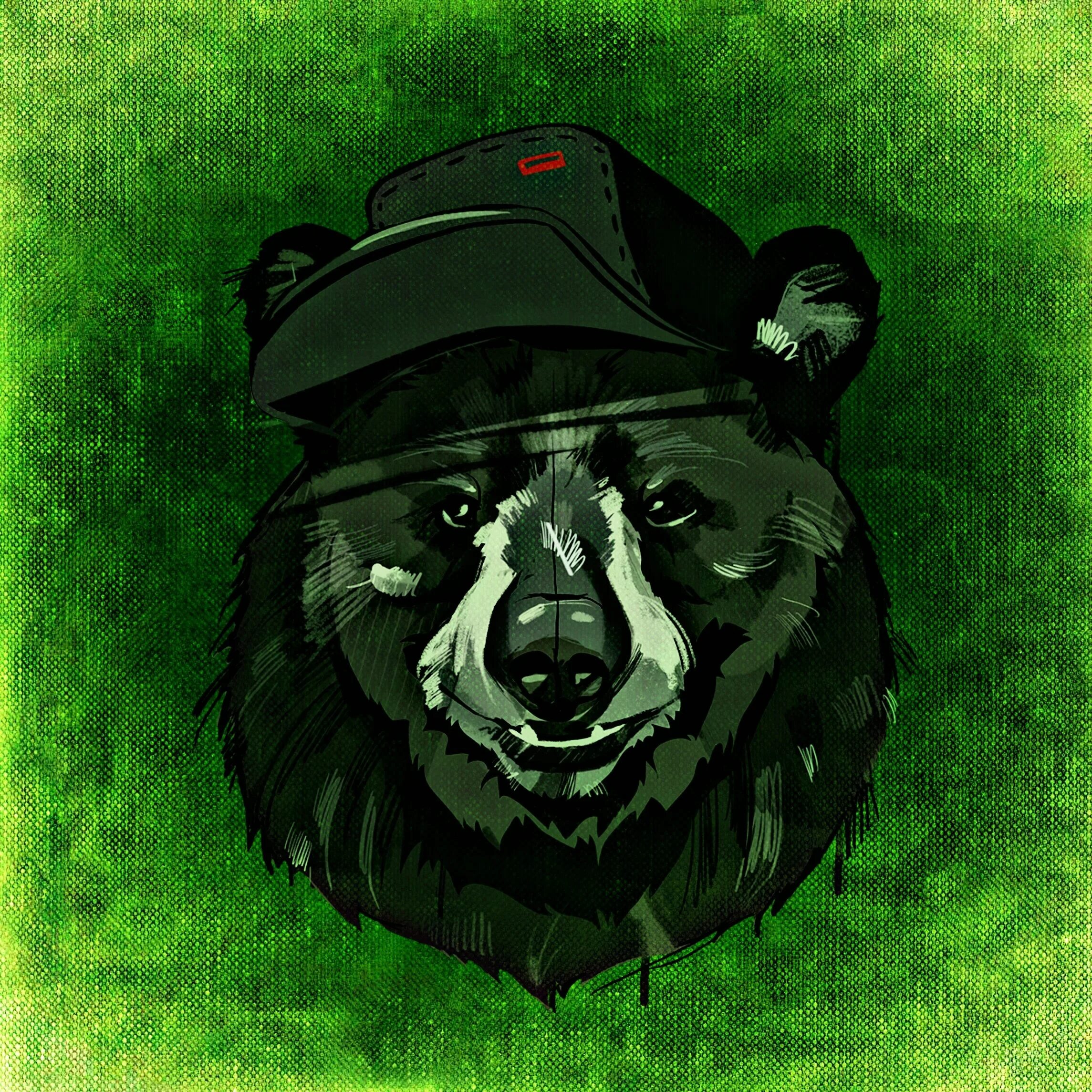 Военный вацап. Медведь в военной форме. Крутой медведь. Аватарка медведь. Медведь в кепке.