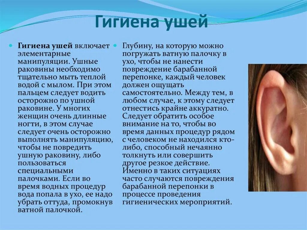 Статья про слух