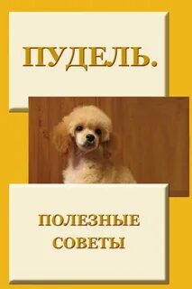 Книга пудель