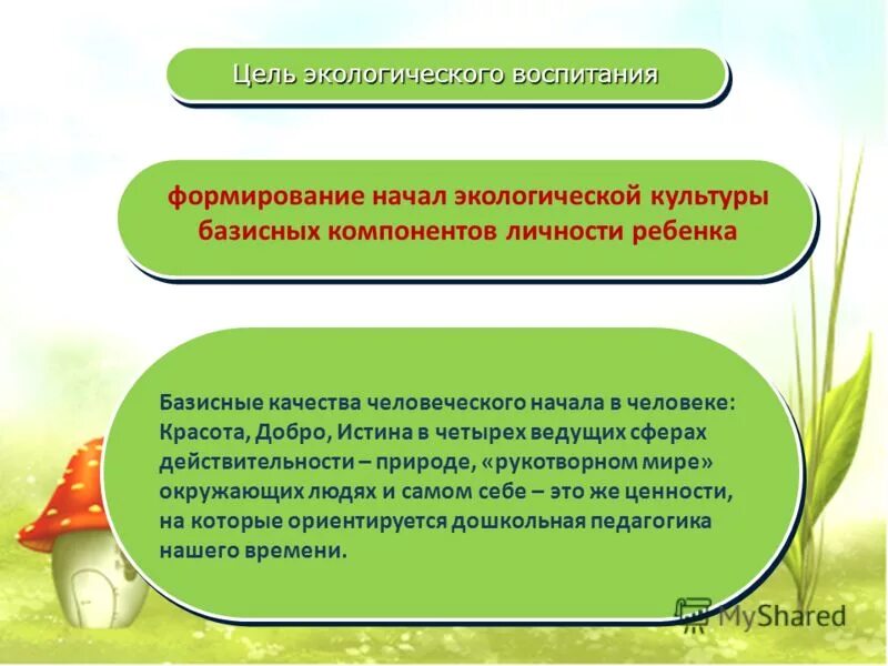 Процесс становления начался. Экологическое воспитание. Экологическая культура. Основы формирования экологической культуры. Формирование экологической культуры в детях.