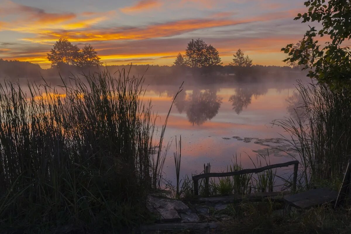 Утренняя заря читать