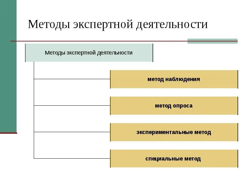 Виды деятельности эксперта. Виды экспертной деятельности. Задачи практичной экспертной деятельности. Теоретические подходы инновационной деятельности. Перечислить принципы экспертной деятельности.