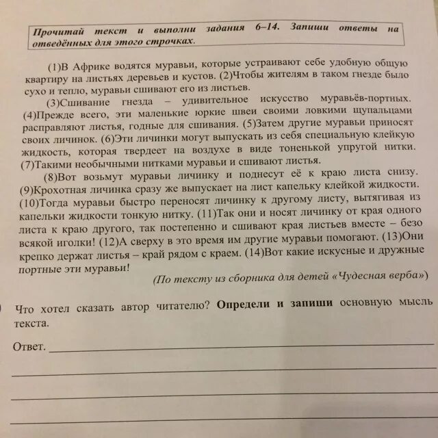 Определите и запишите основную мысль текста паустовский. Как определить основную мысль текста. Как определить главную тему текста. Как определить основную мысль текста 4 класс. Задания по тексту основная мысль текста.