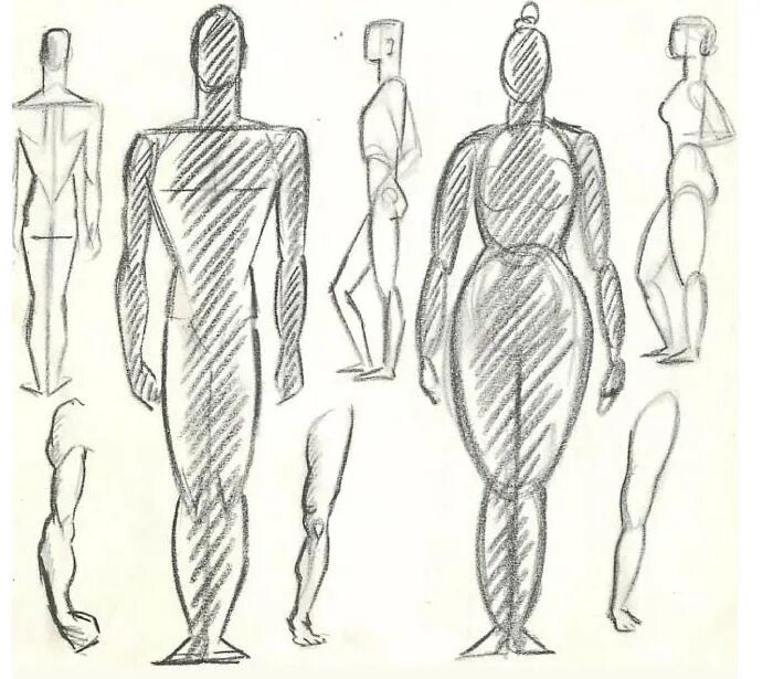 Тип рисования человека. Анатомические фигуры для рисования. Зарисовки тела человека. Наброски фигуры человека. Зарисовки человеческой фигуры.