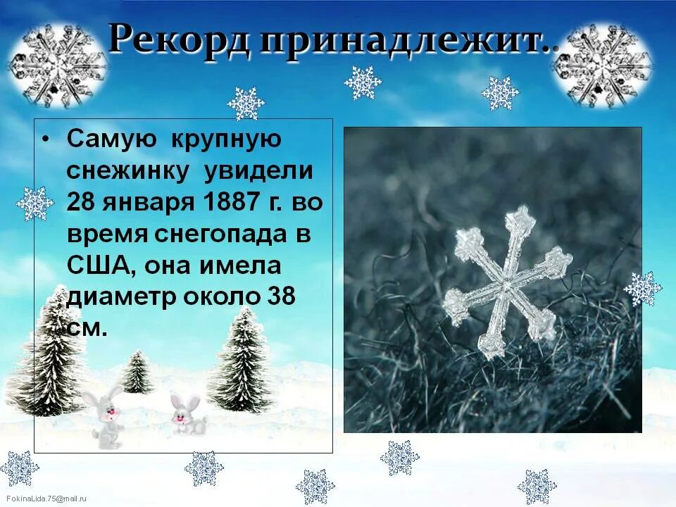 Снежинка рассказ. Интересные факты о снежинках. интересные факты о снеге и снежинках для детей. интересные факты о снежинках формы. интересные факты о снежинках для детей 1 класса.