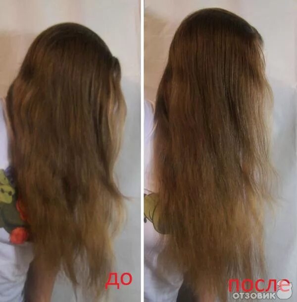 Сильные волосы отзывы. Сухие кончики волос. Ломкость волос. Сухие волосы до и после. Ломкие волосы и восстановление.