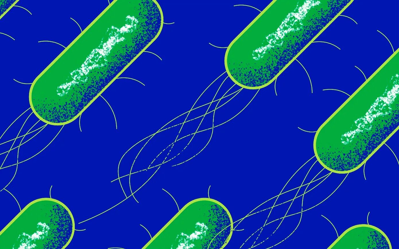 Зеленые бактерии. Бактериальные биопленки. Биопленки микроорганизмов. Бактерии фон.