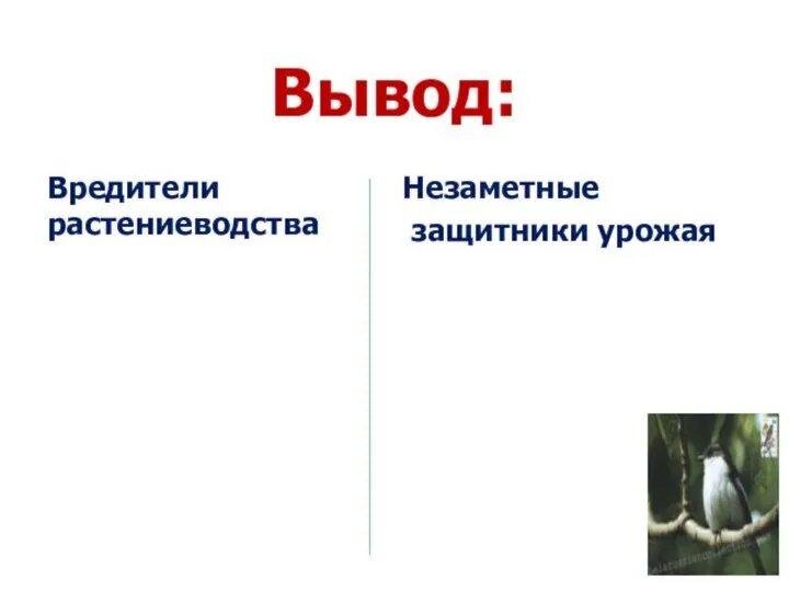 Незаметные защитники урожая. Незаметные защитники урожая 4 класс презентация. незаметные защитники огорода.