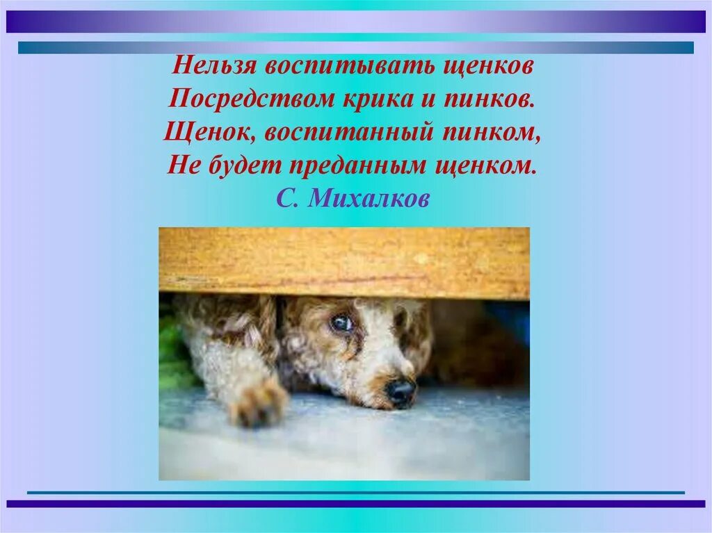 Невозможно воспитать. Нельзя воспитывать щенков. Воспитывать щенков посредством крика. Нельзя воспитывать щенков посредством крика и пинков. Михалков нельзя воспитывать щенков.