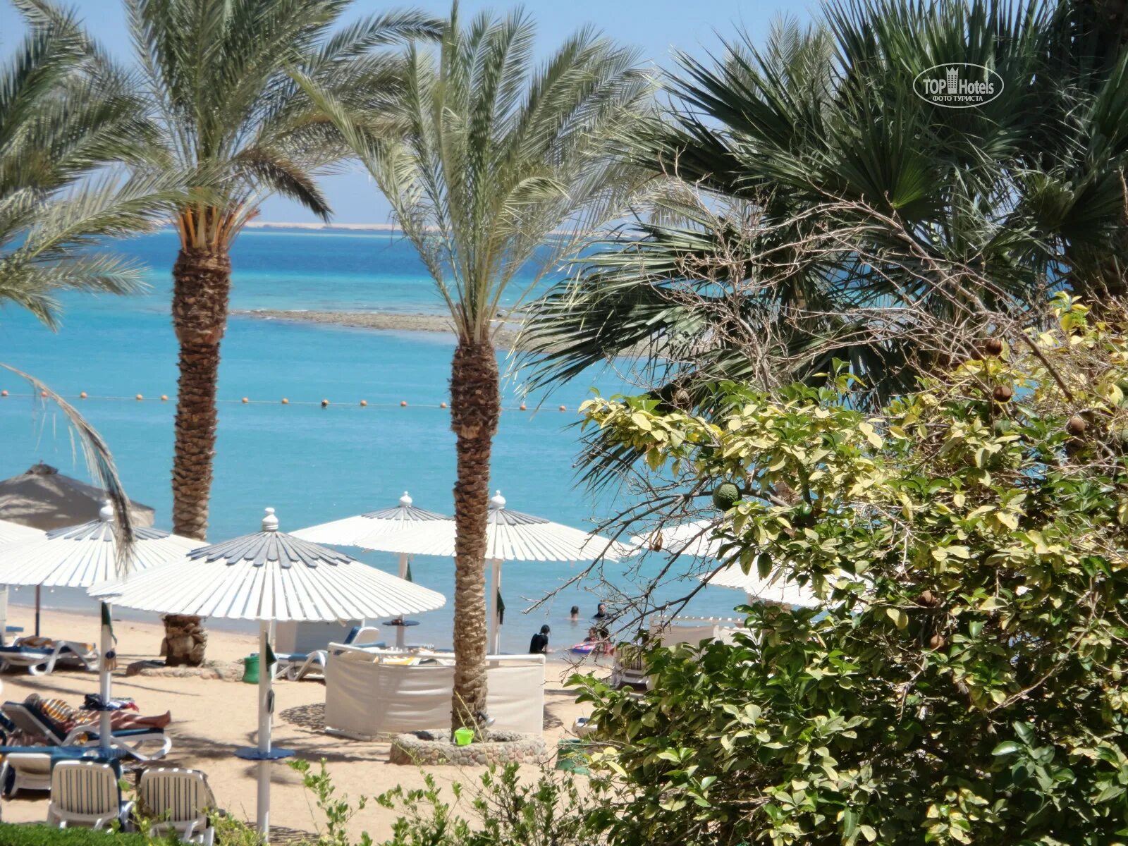 Swiss Inn Resort Hurghada 5. Свисс ИНН Хургада. Свисс ИНН Резорт Хургада.
