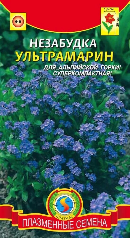 Семена цветов незабудки. Семена цветов незабудки. Незабудка альпийская смесь. Гавриш незабудка. Незабудка альпийская мечта смесь.