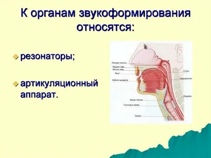 Гортань резонатор
