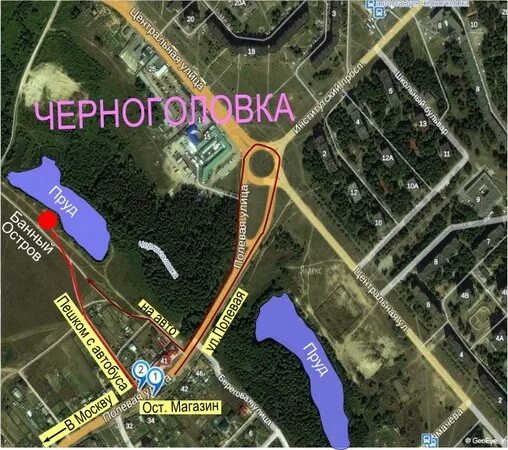 24 автобус омск. 24 автобус омск фото. 24 маршрутка. Автобус до поликлиники. Маршрутка щелково.