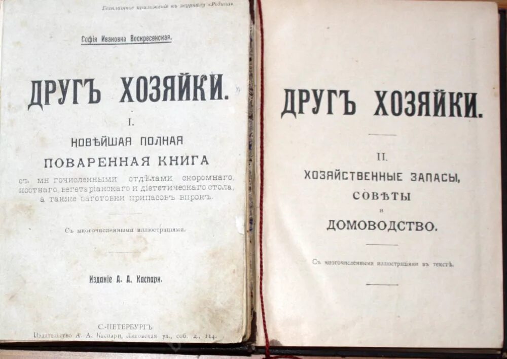 Женщина готовит. Одиночество женщины. Что готовить на ужин. Семейный быт. Друг хозяйки.