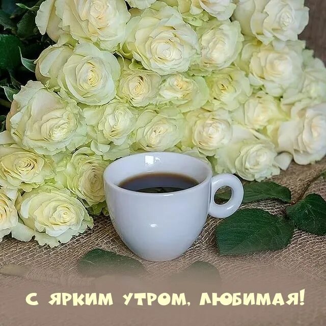 Доброе утро любимая розы. Белые розы с добрым утром. С добрым утром букет белых роз. Доброе утро любимая с белыми розами. Открытки с добрым утром с белыми розами.