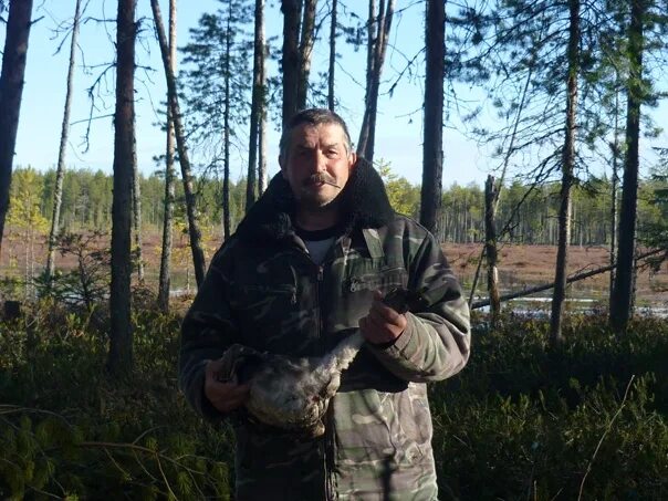 Поселение мордино. Д зулэб корткеросском районе. Погода в намске корткеросский. Д зулэб корткеросском районе. Намск.