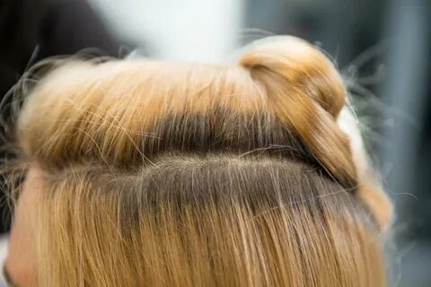 Hair roots