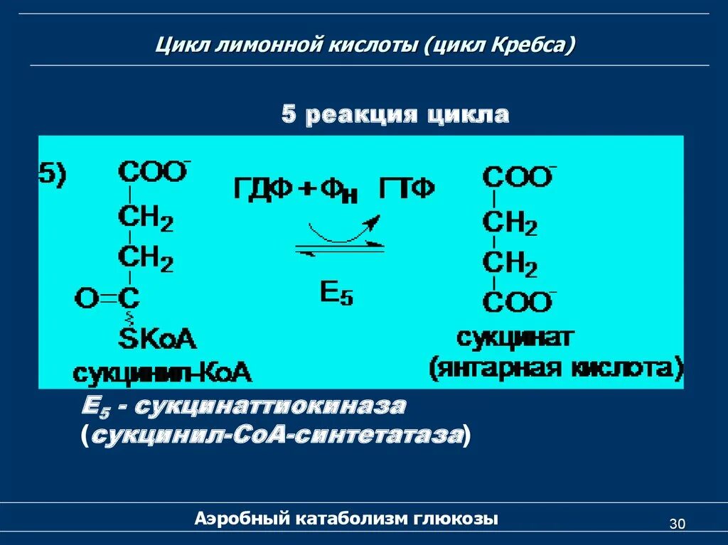 Пятерка реакции