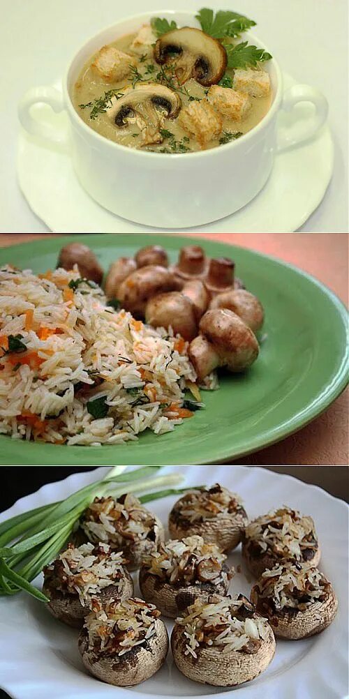 Жареные грибы. С чем сочетаются шампиньоны. Блюда из шампиньонов. Жареные грибы с баклаженам. Овощное рагу с грибами.