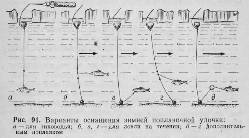 Ловля плотвы на течении зимой