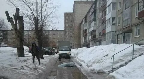 Показывают березники