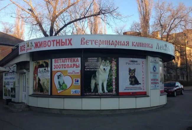 ветеринарные клиники воронежа адреса. ветлайф керчь ветеринарная клиника. клиника евровет кузнецк. ветеринарные клиники воронежа адреса. московский просп.